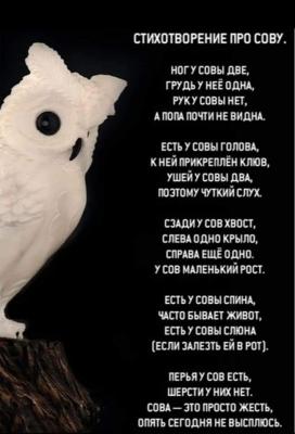 Прикрепленное изображение: 356241315_6319386271504975_5998750439874484026_n.jpg